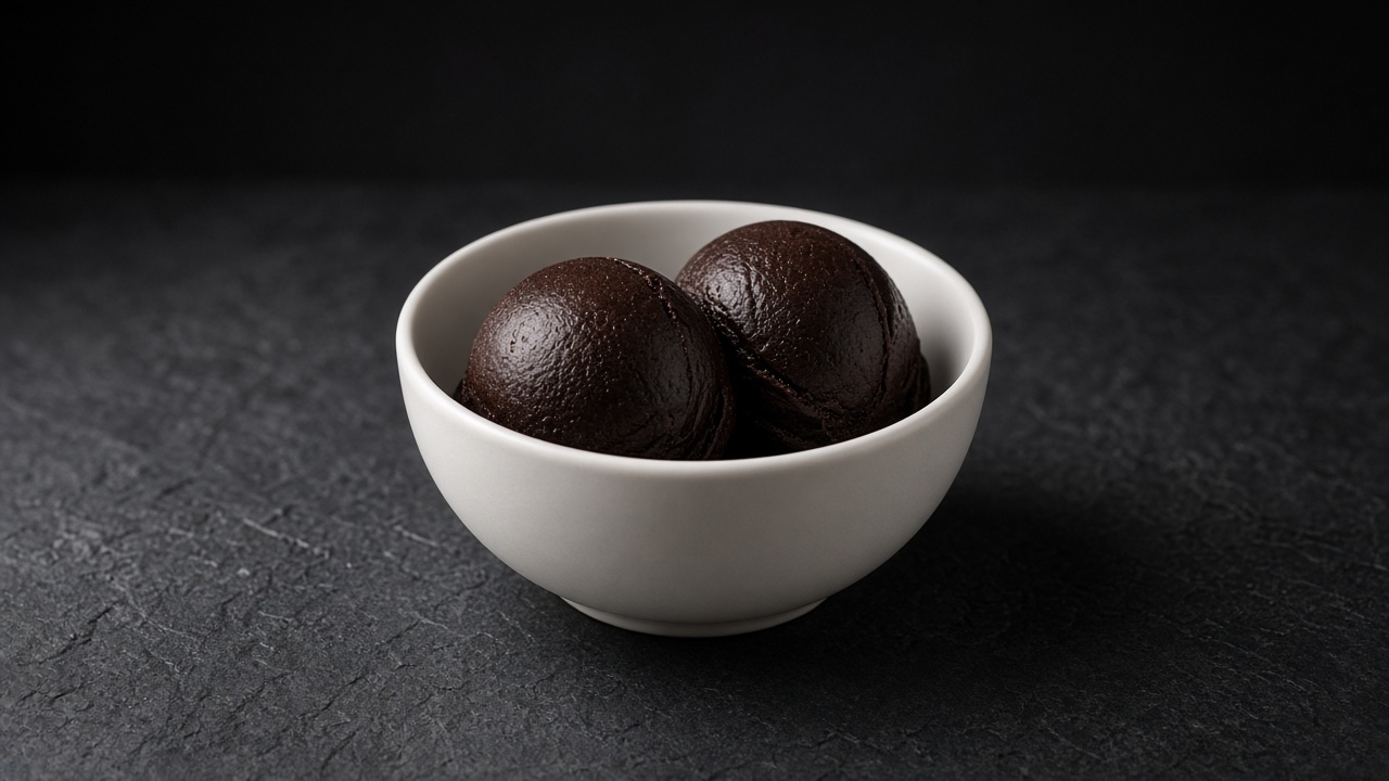Two scoops of almost-black chocolate sorbet in a white bowl.